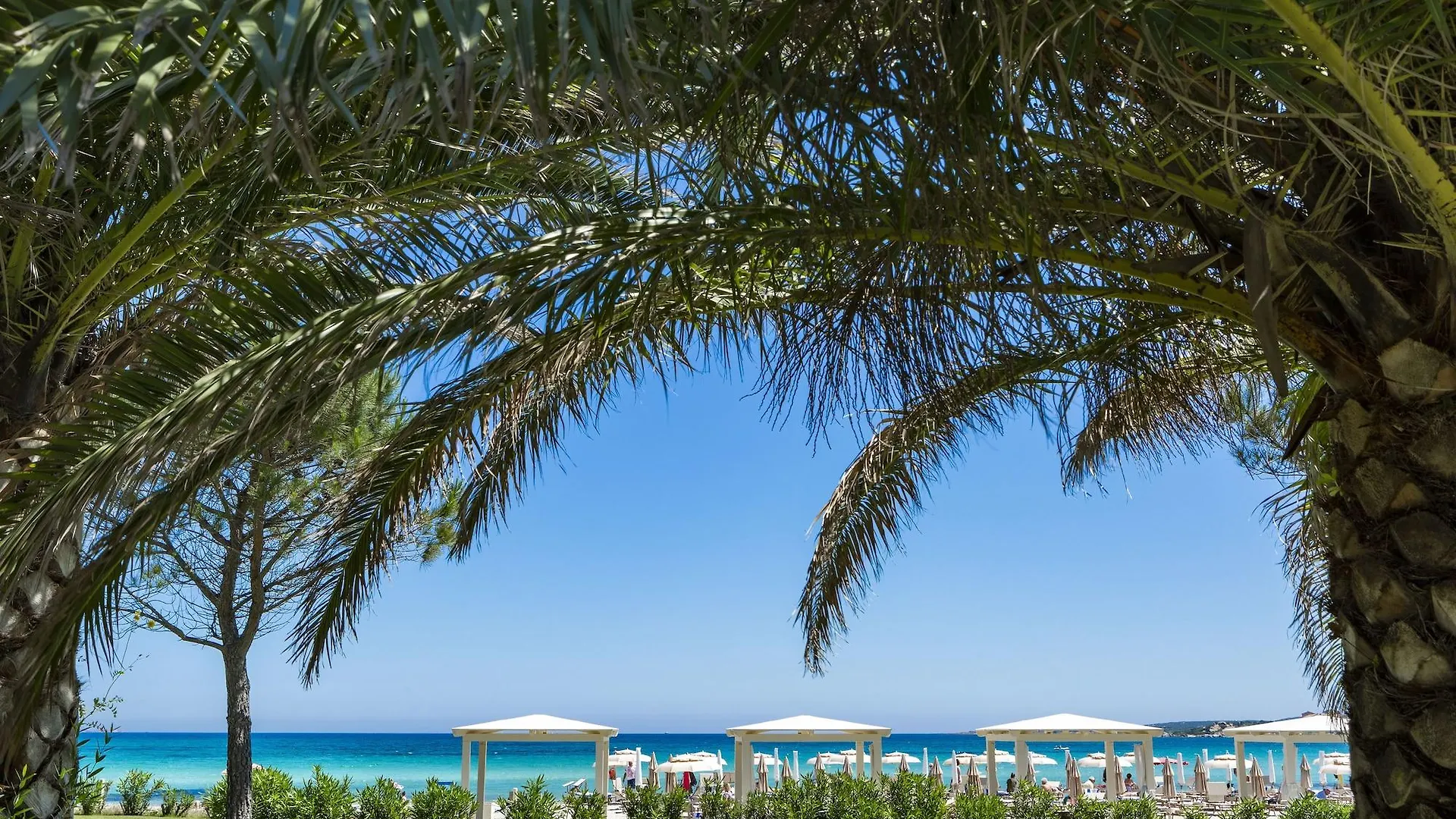 *****  Hotel Abi D'Oru Porto Rotondo Italia